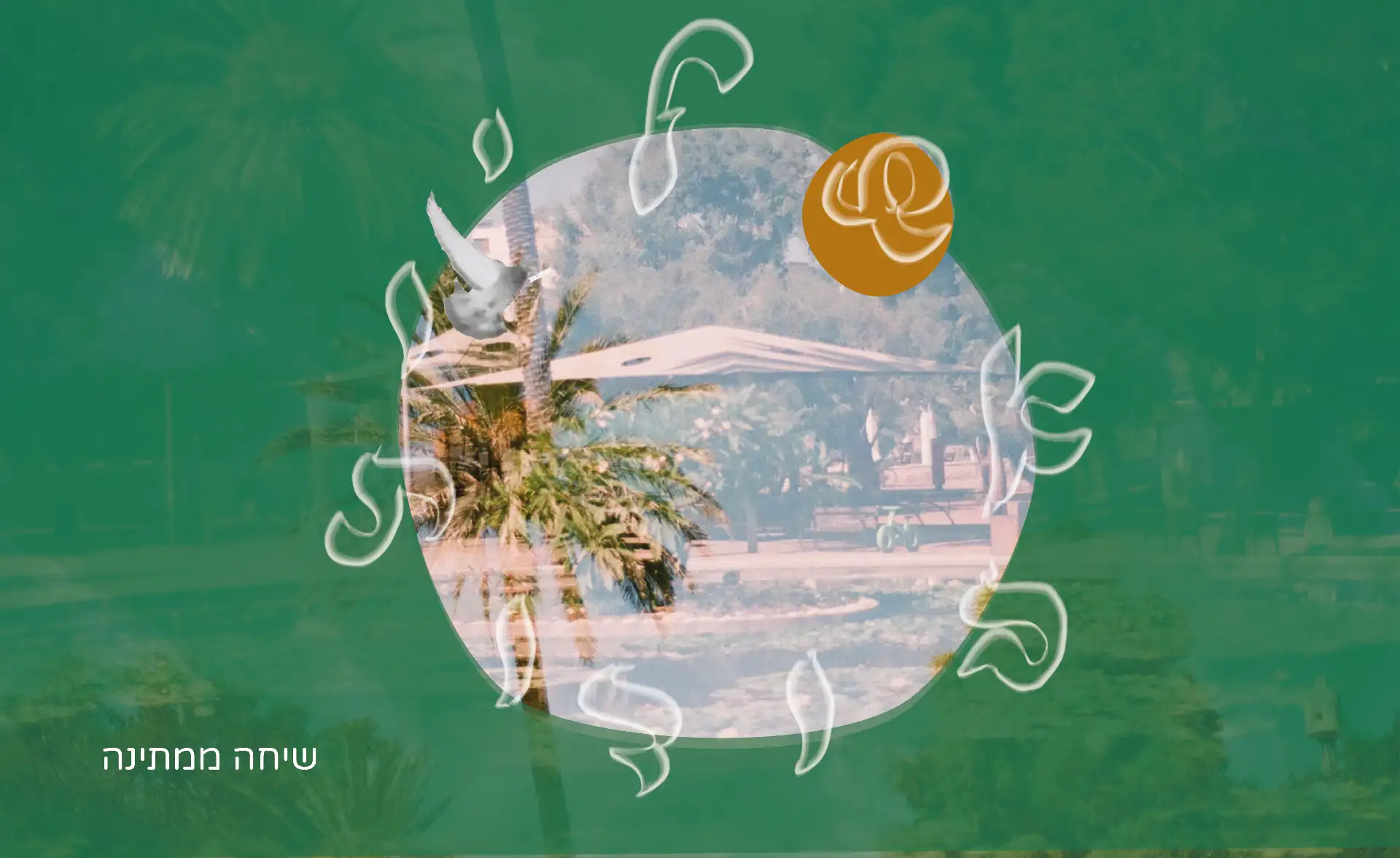 שיחה ממתינה